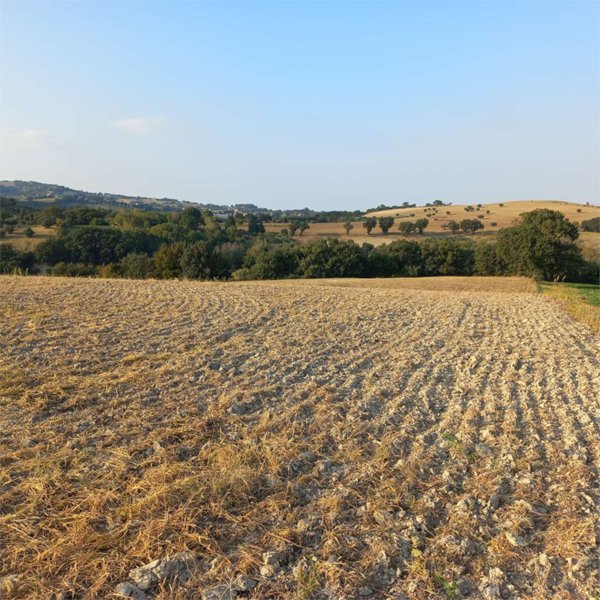 terreno agricolo in vendita a Treia in zona Santa Maria in Selva