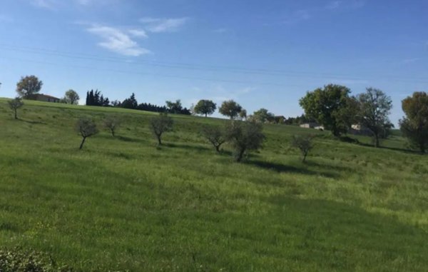 terreno edificabile in vendita ad Urbisaglia
