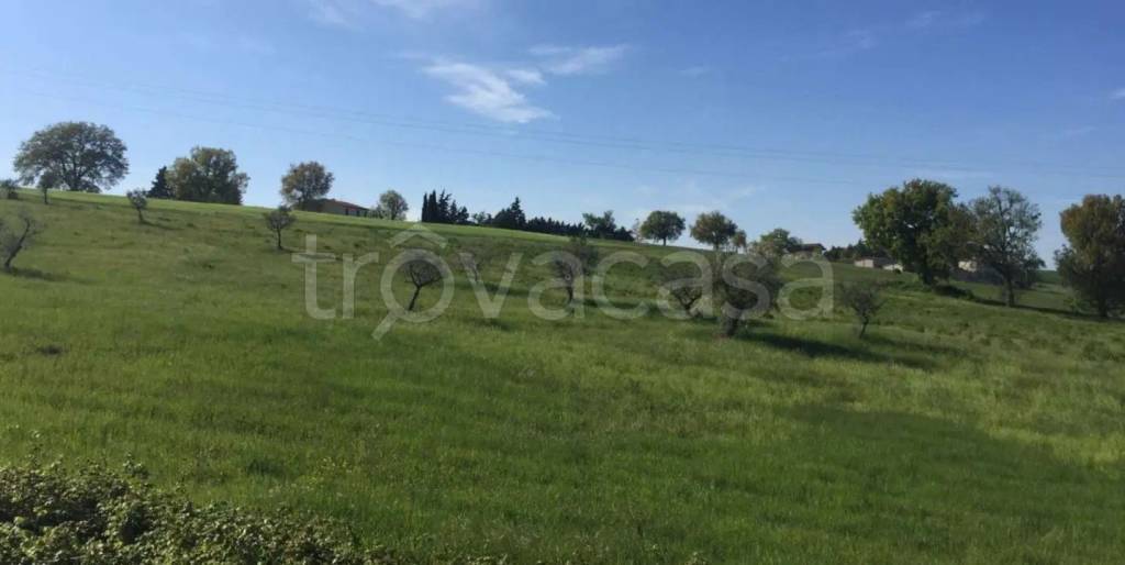 terreno agricolo in vendita ad Urbisaglia