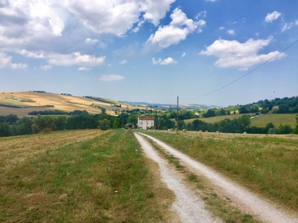 casale in vendita ad Urbisaglia