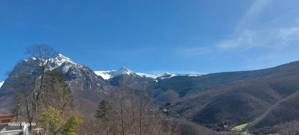 immagine annuncio 0 di 15