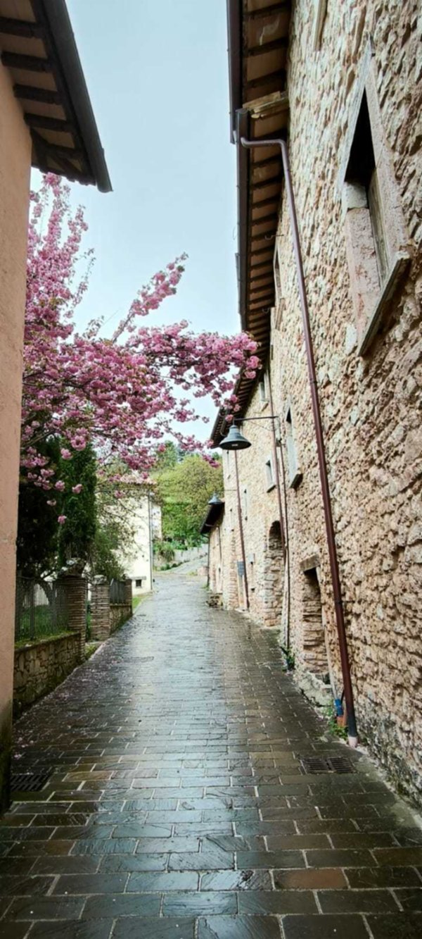 casale in vendita a Visso in zona Rasenna