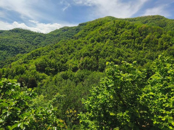 ufficio in vendita ad Acquasanta Terme in zona Tallacano