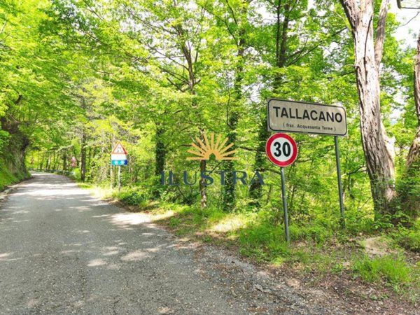 terreno agricolo in vendita ad Acquasanta Terme in zona Tallacano