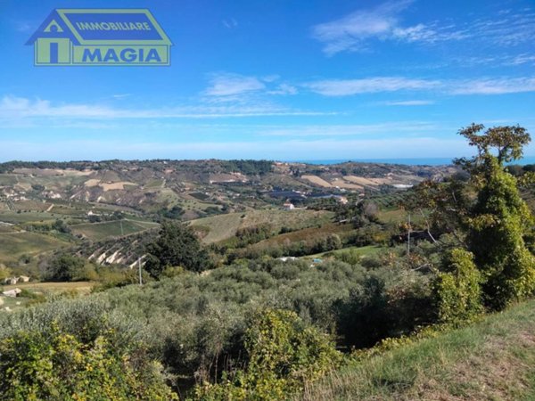terreno agricolo in vendita ad Acquaviva Picena