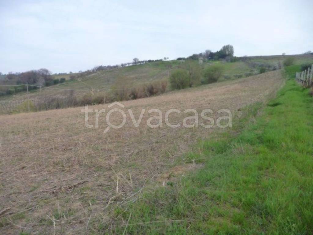 terreno agricolo in vendita ad Acquaviva Picena