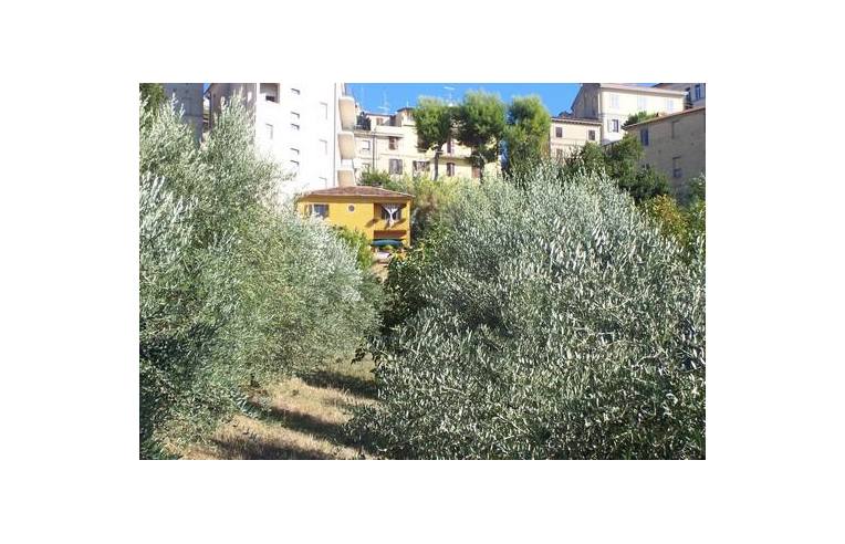 casa indipendente in vendita ad Acquaviva Picena