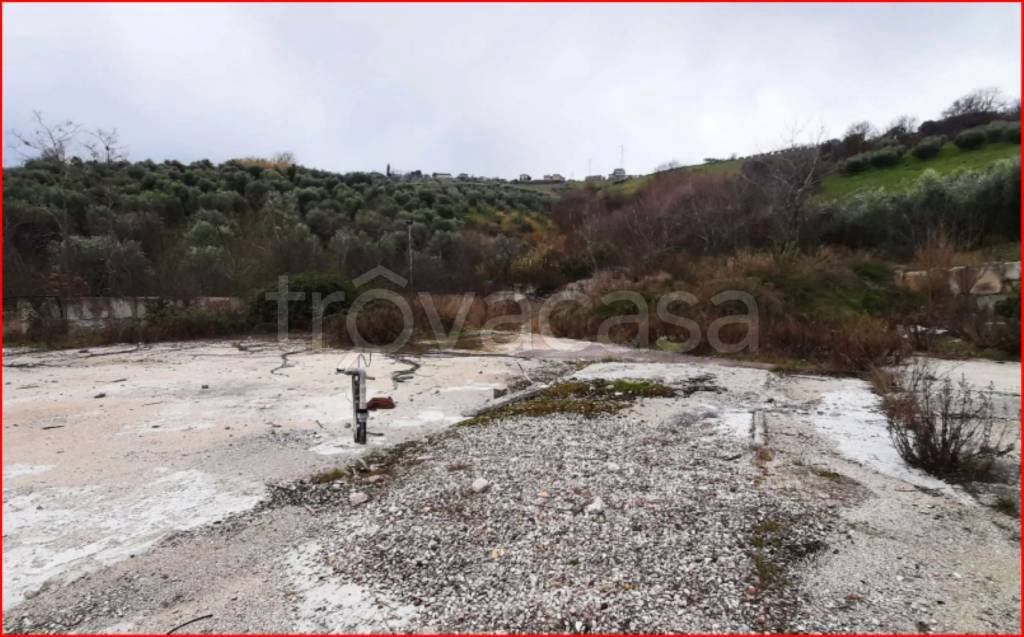 terreno agricolo in vendita ad Acquaviva Picena
