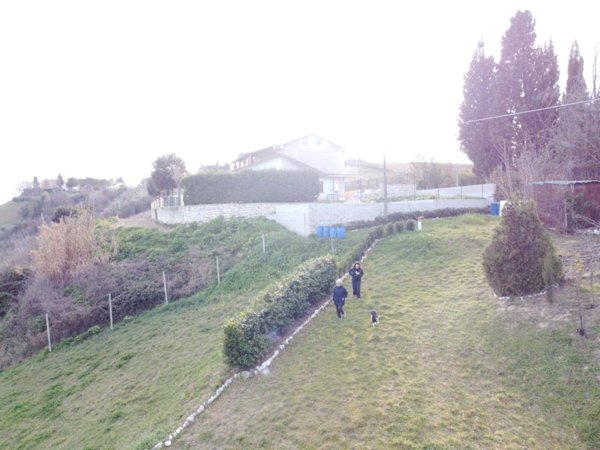 terreno agricolo in vendita ad Acquaviva Picena