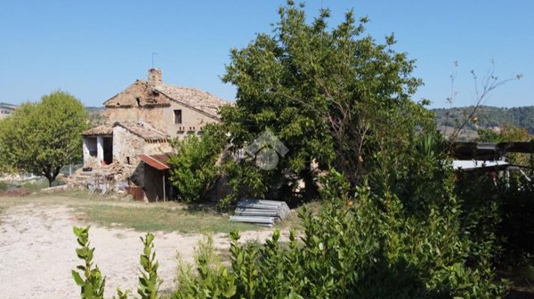 pentavano in vendita ad Acquaviva Picena