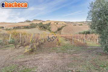 terreno agricolo in vendita ad Acquaviva Picena