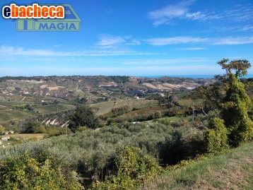 terreno agricolo in vendita ad Acquaviva Picena