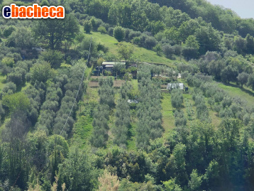 terreno agricolo in vendita ad Acquaviva Picena