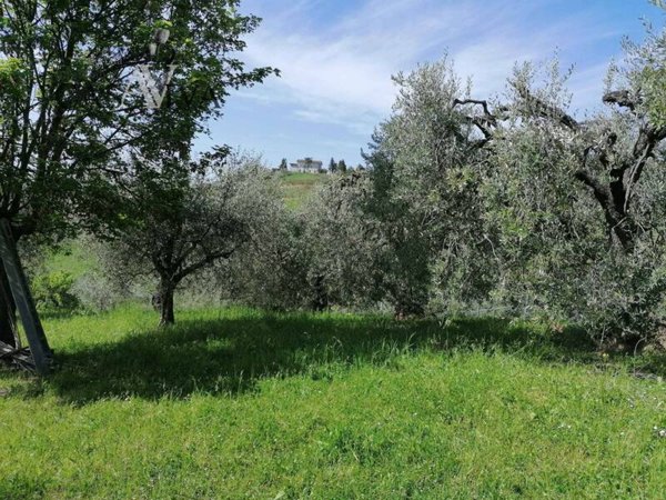 terreno agricolo in vendita ad Acquaviva Picena