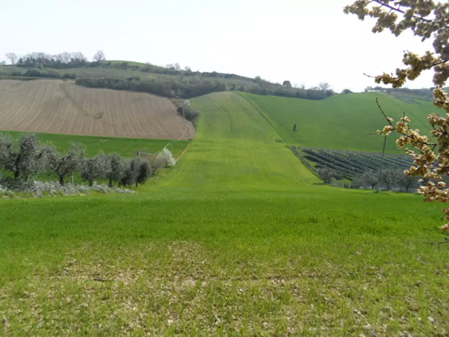 casa indipendente in vendita ad Acquaviva Picena