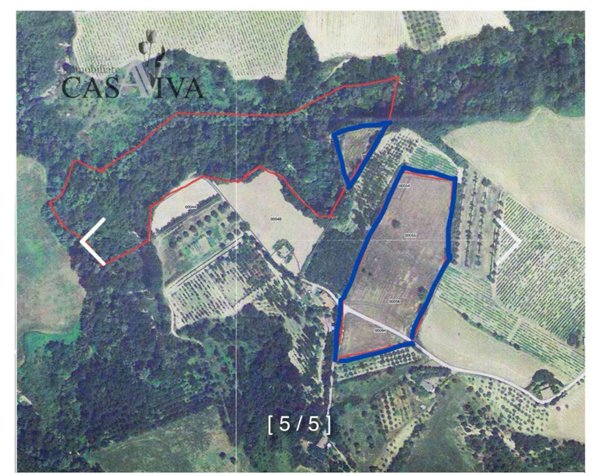 terreno agricolo in vendita ad Acquaviva Picena
