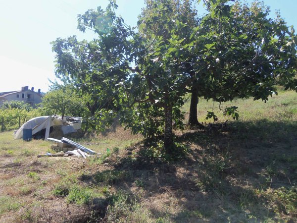 terreno agricolo in vendita ad Acquaviva Picena