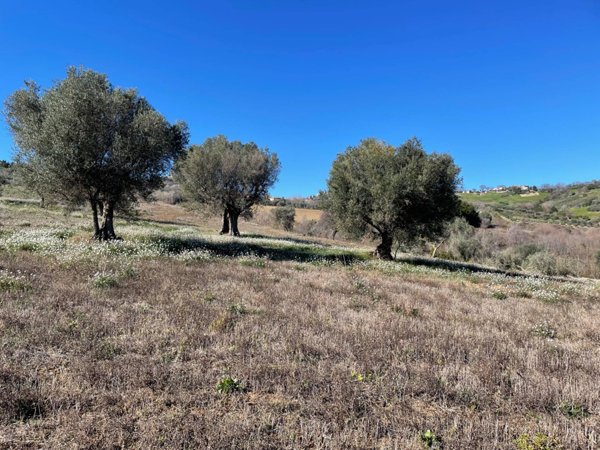 terreno agricolo in vendita ad Acquaviva Picena