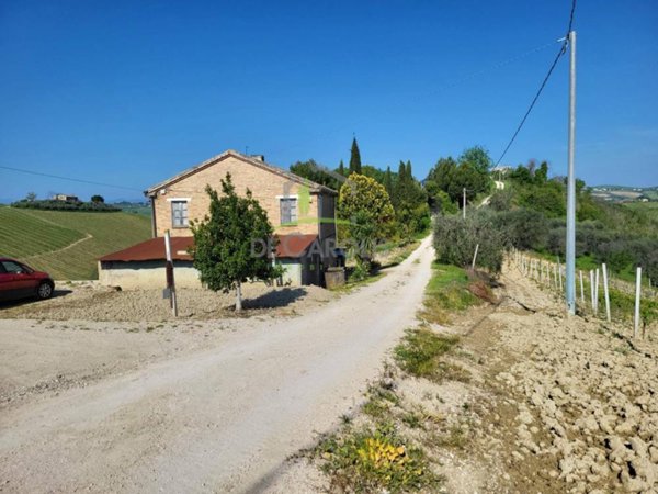 azienda agricola in vendita ad Acquaviva Picena