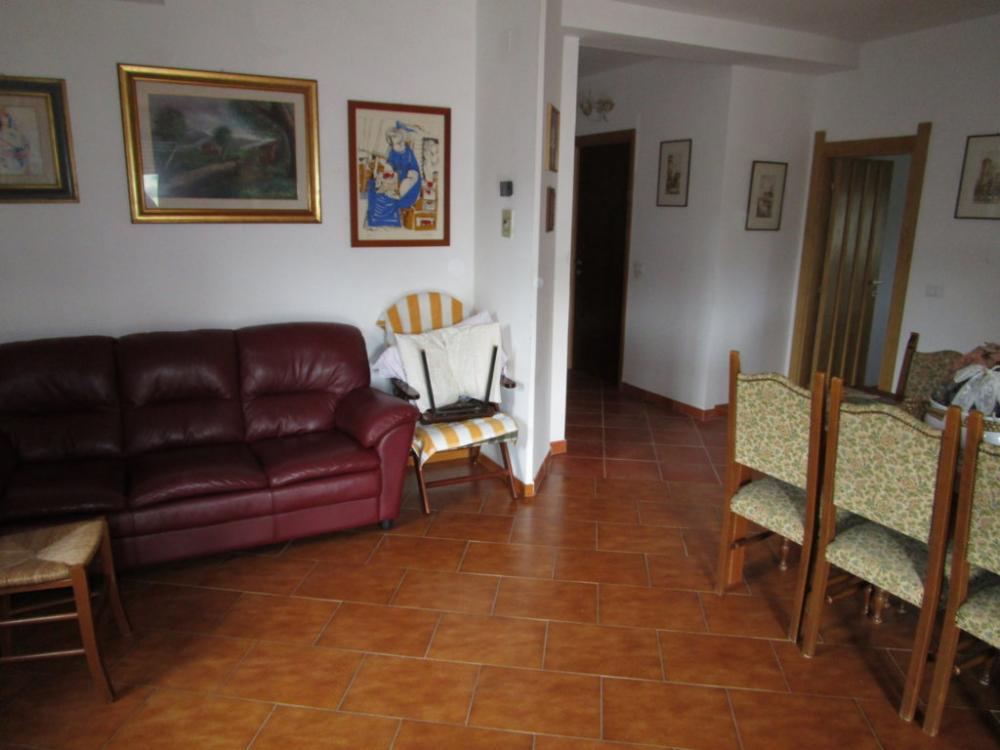 immagine annuncio 0 di 5