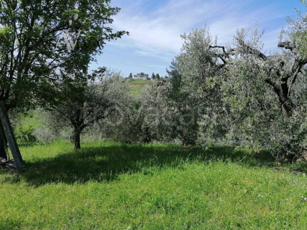 terreno agricolo in vendita ad Acquaviva Picena