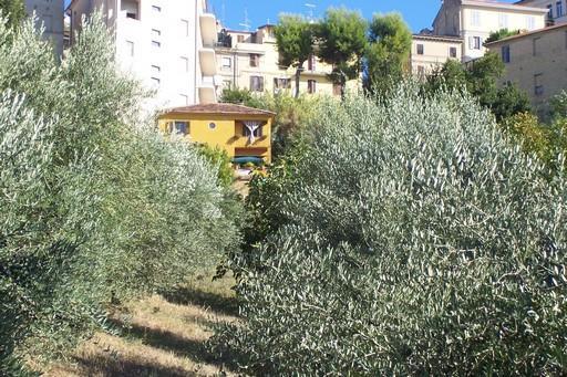 casa indipendente in vendita ad Acquaviva Picena