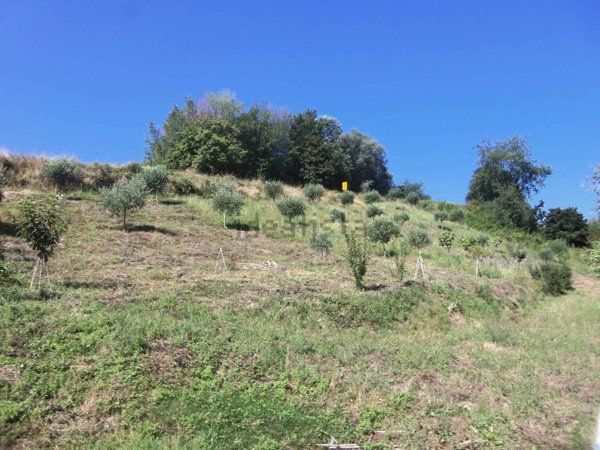 terreno agricolo in vendita ad Acquaviva Picena