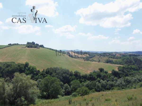 terreno agricolo in vendita ad Acquaviva Picena