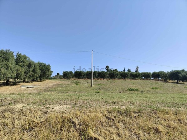 terreno agricolo in vendita ad Acquaviva Picena