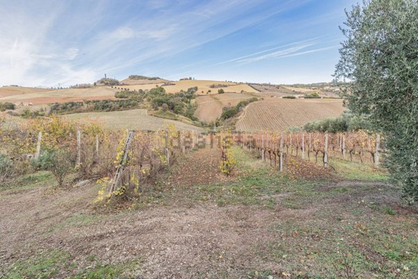 terreno agricolo in vendita ad Acquaviva Picena