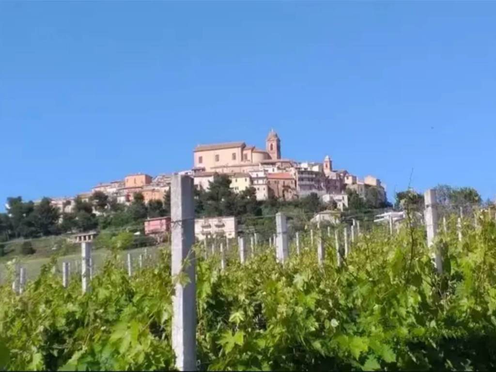 casa indipendente in vendita ad Acquaviva Picena