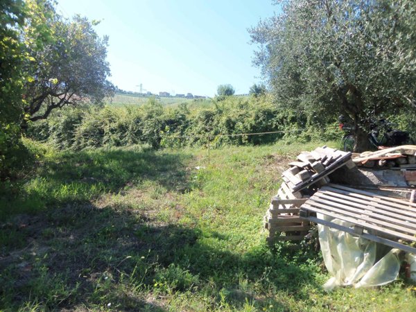 terreno agricolo in vendita ad Acquaviva Picena