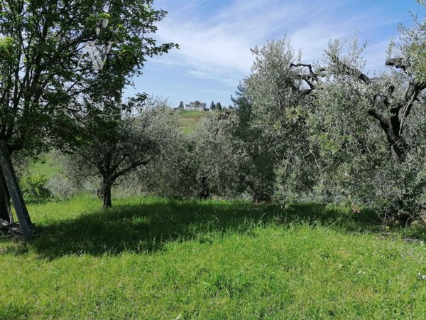 terreno agricolo in vendita ad Acquaviva Picena
