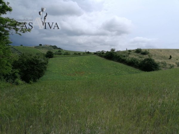 terreno agricolo in vendita ad Acquaviva Picena