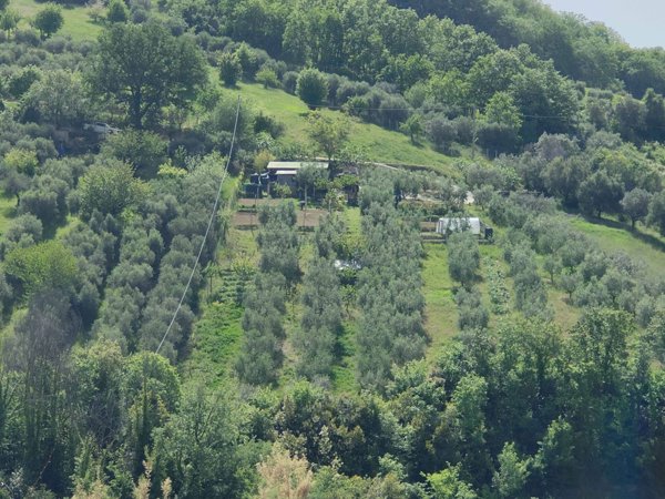 terreno agricolo in vendita ad Acquaviva Picena