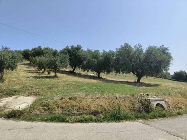terreno agricolo in vendita ad Acquaviva Picena
