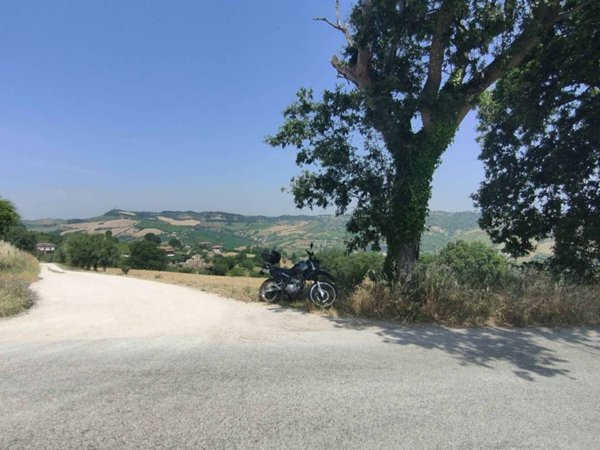 terreno agricolo in vendita ad Acquaviva Picena