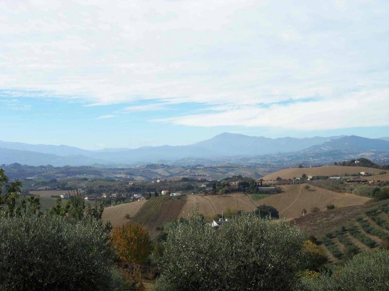 terreno agricolo in vendita ad Acquaviva Picena