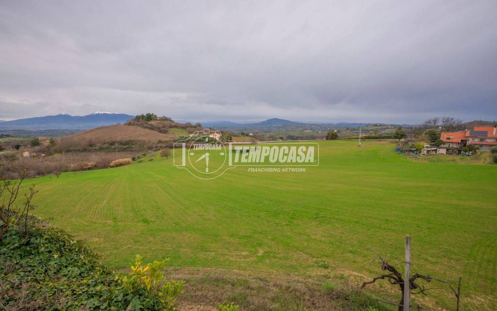 terreno agricolo in vendita ad Acquaviva Picena