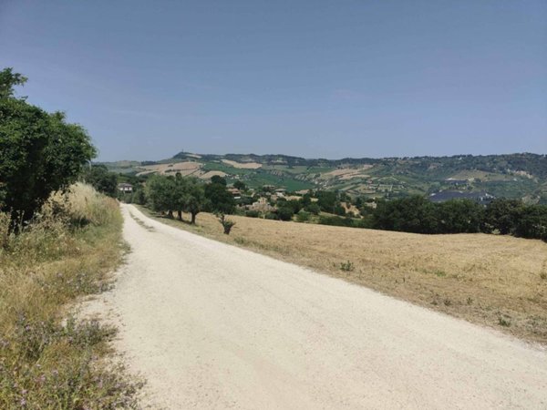 terreno agricolo in vendita ad Acquaviva Picena