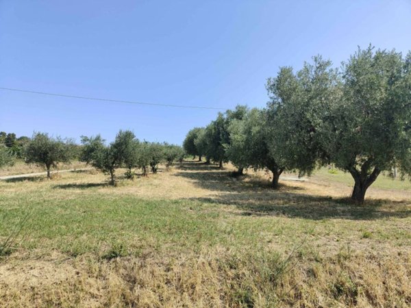 terreno agricolo in vendita ad Acquaviva Picena