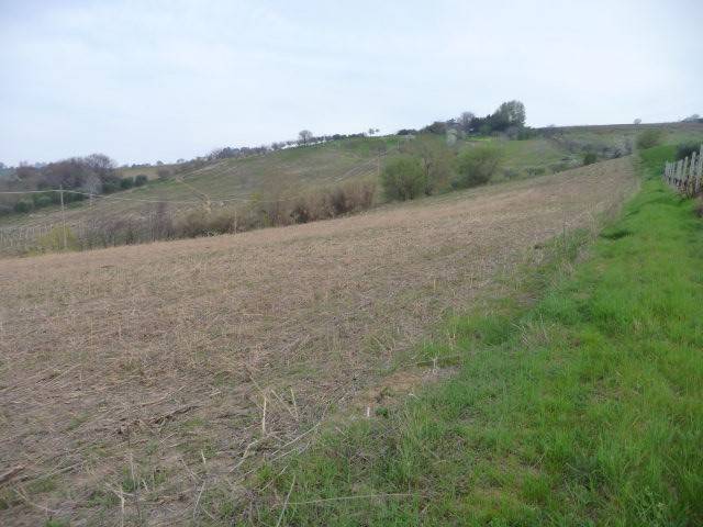 terreno agricolo in vendita ad Acquaviva Picena