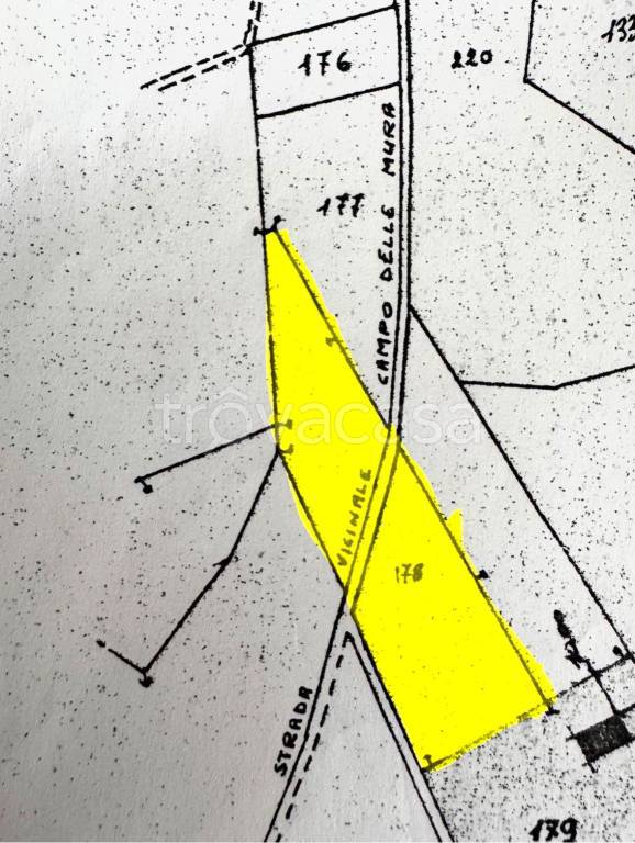terreno agricolo in vendita ad Acquaviva Picena