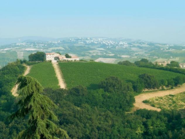 negozio in vendita ad Acquaviva Picena