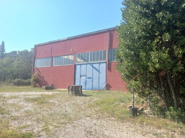 capannone in vendita ad Acquaviva Picena