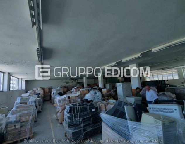 pentavano in vendita ad Acquaviva Picena