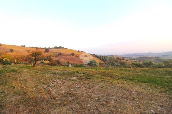 terreno agricolo in vendita ad Appignano del Tronto