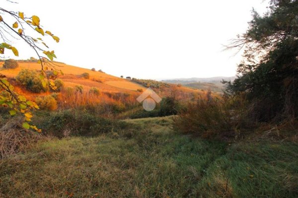terreno agricolo in vendita ad Appignano del Tronto