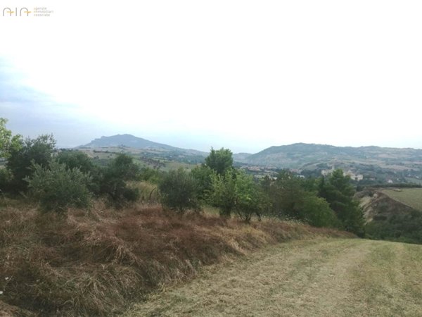 terreno agricolo in vendita ad Appignano del Tronto