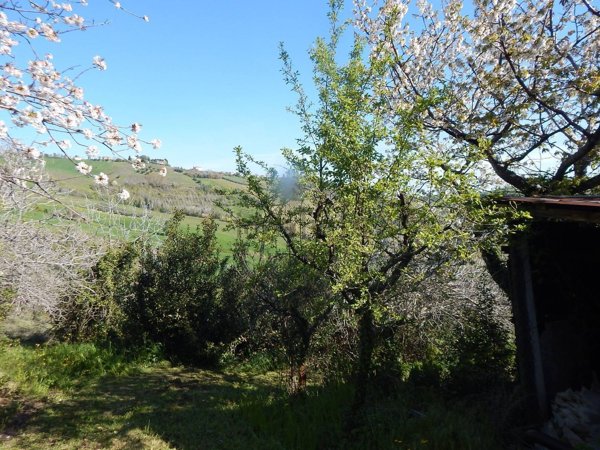 appartamento in vendita ad Appignano del Tronto